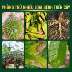 Japa Vil 110 SC Thủy Sính trị được nhiều nấm bệnh