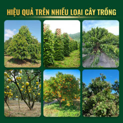 Japa Vil 110 SC Thủy Sính dùng được cho nhiều loại cây