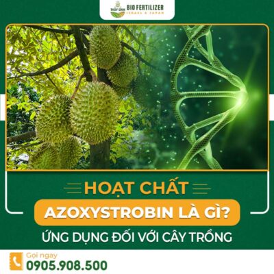hoat chất Azoxystrobin