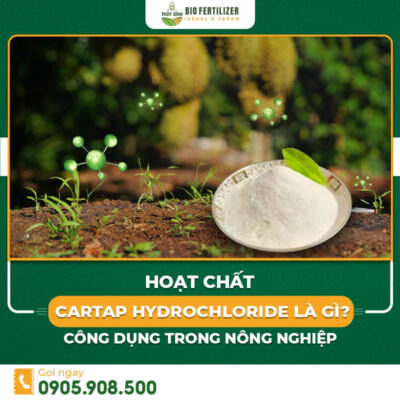 hoạt chất Cartap Hydrochloride là gì