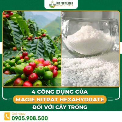 Magie Nitrat Hexahydrate