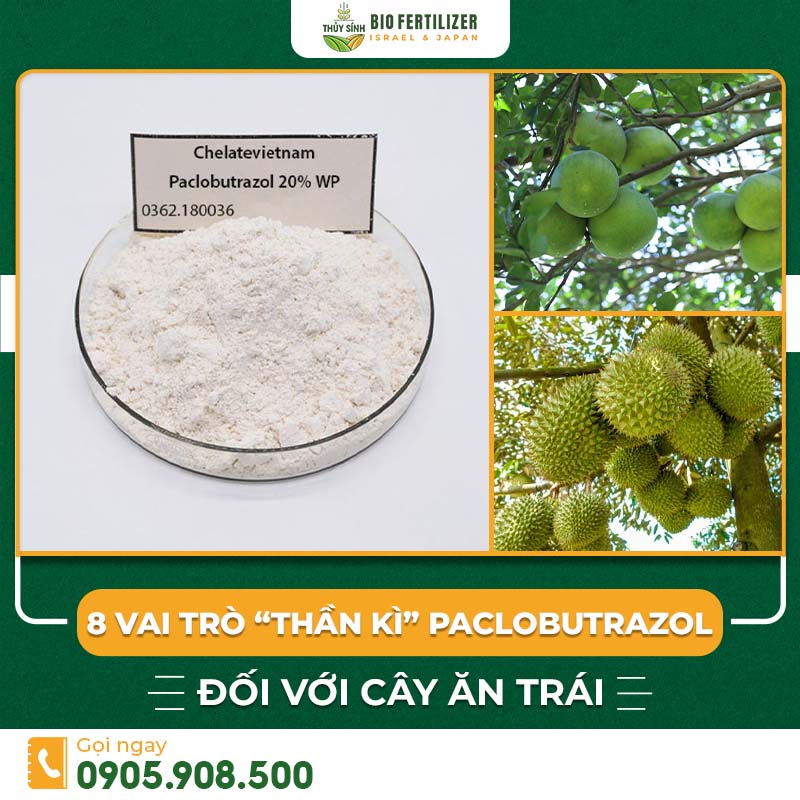 paclobutrazol cây ăn trái