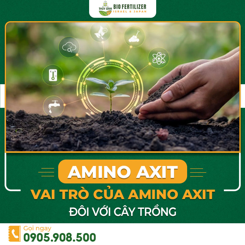 Amino axit