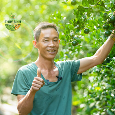 Anh Hòa trồng quýt