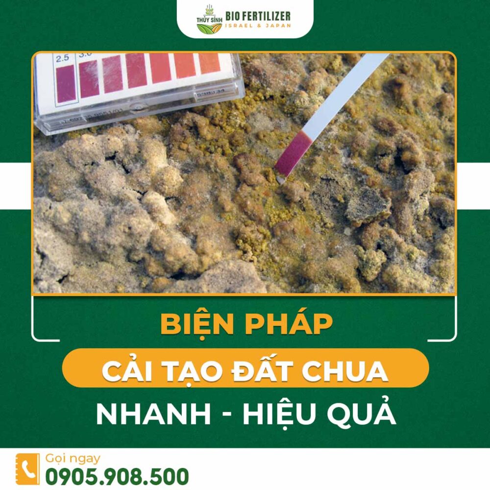 biện pháp cải tạo đất chua