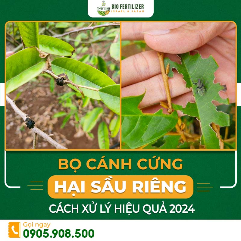 thuốc trị bọ cánh cứng hại sầu riêng