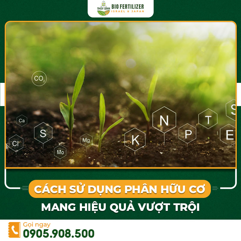 Cách sử dụng phân hữu cơ