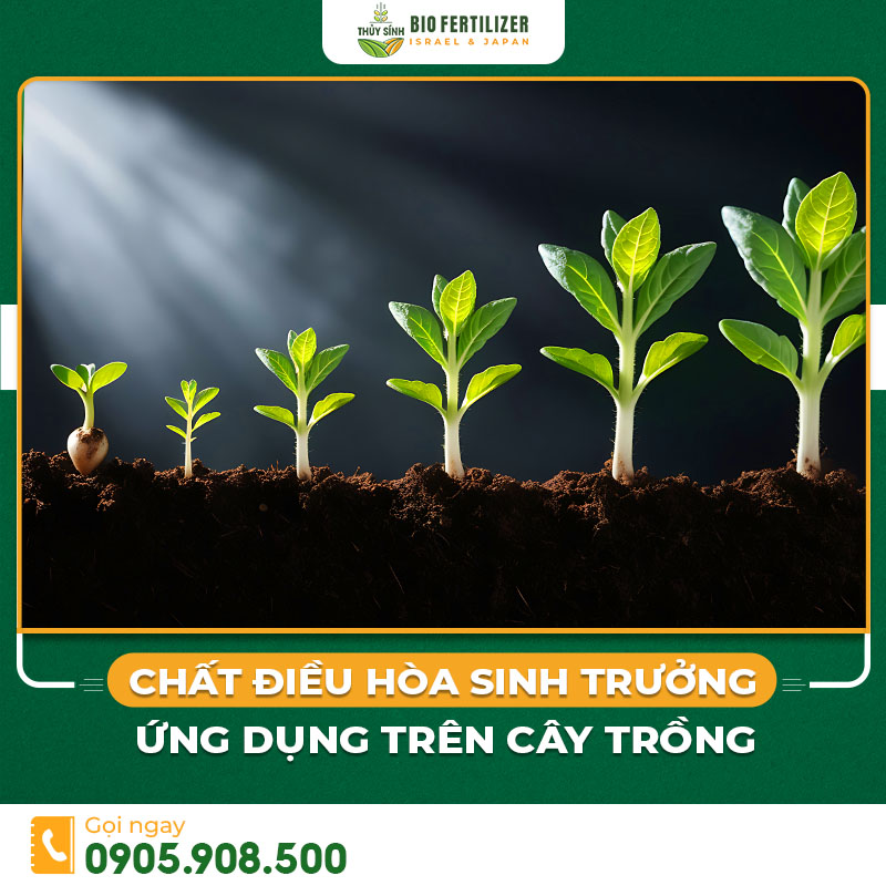 chất điều hòa sinh trưởng