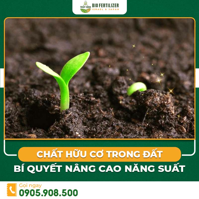 Chất hữu cơ trong đất