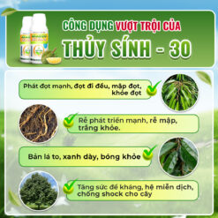 Công dụng Thủy Sính 30