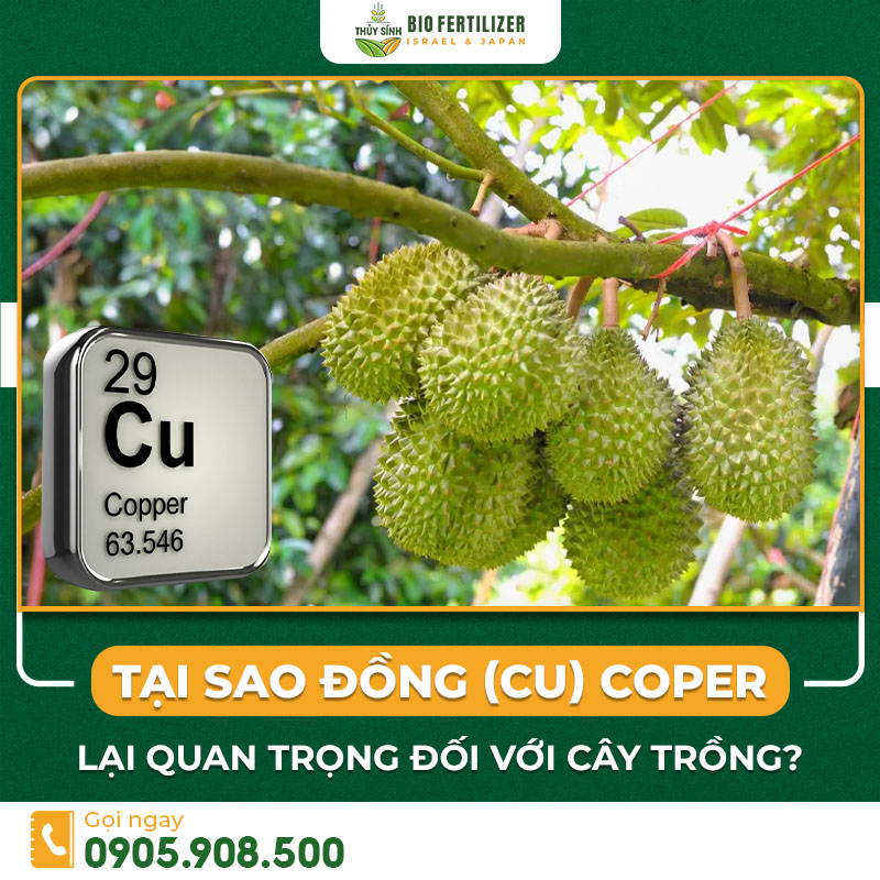 Đồng cu copper