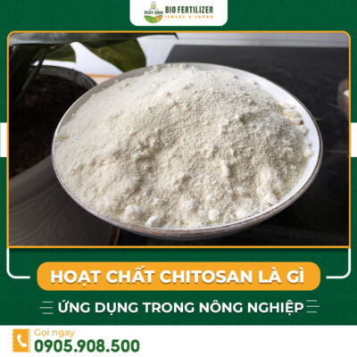 hoạt chất Chitosan là gì