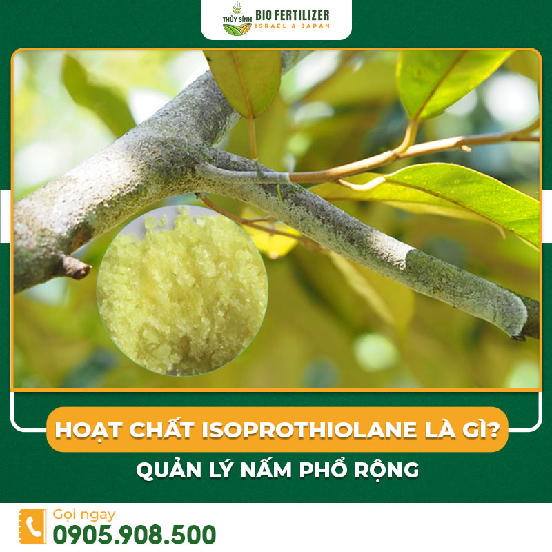 Hoạt chất isoprothiolane