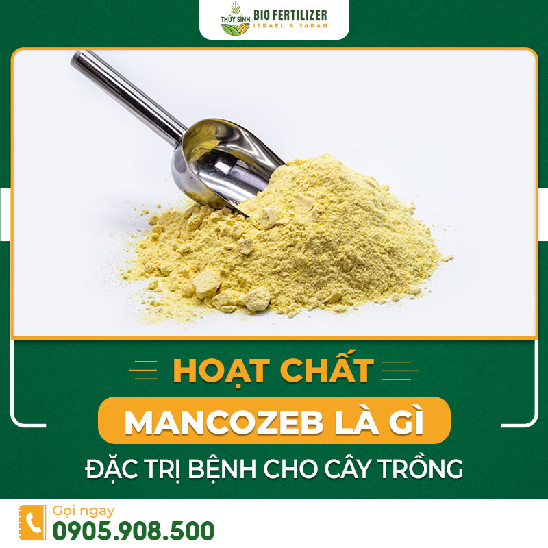 Hoạt chất Mancozeb thuộc nhóm Dithiocarbama