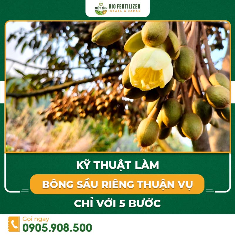 kỹ thuật làm bông sầu riêng