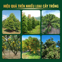 ledan 95SP hiệu qủa trên nhiều loại cây trồng