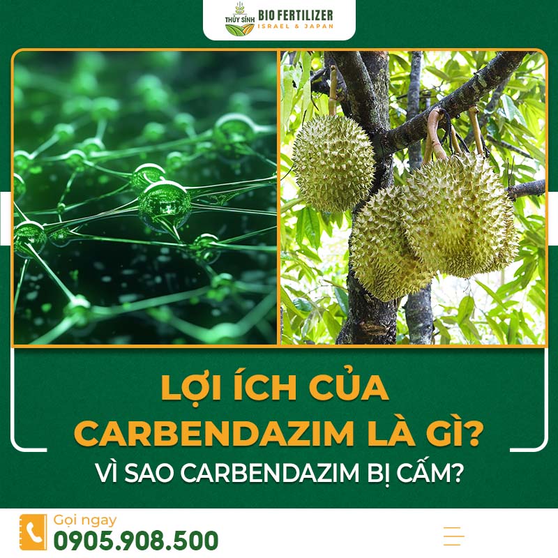 Hoạt chất Carbendazim