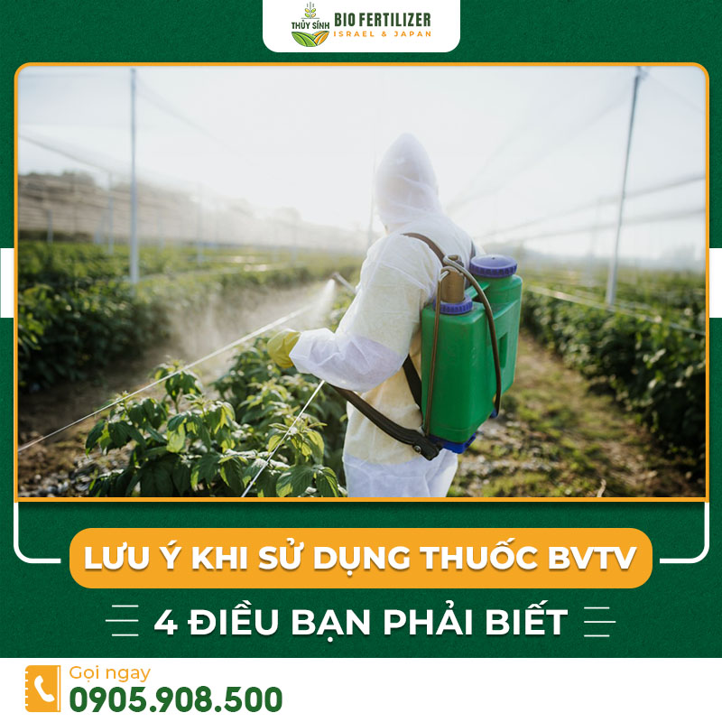 lưu ý khi sử dụng thuốc bvtv
