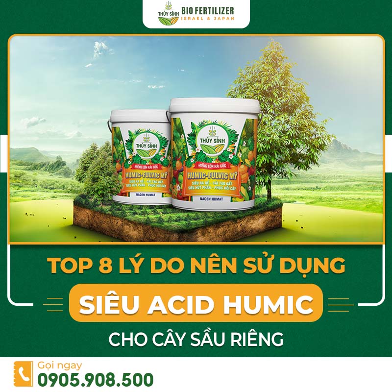 lý do nên sử dụng acid Humic cho cây sầu riêng