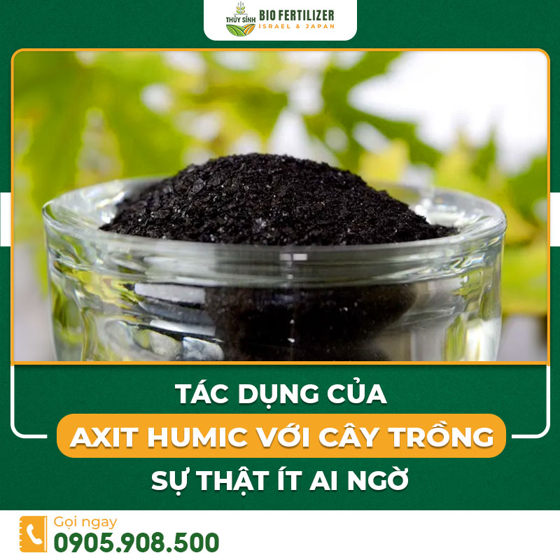Phân bón acid humic