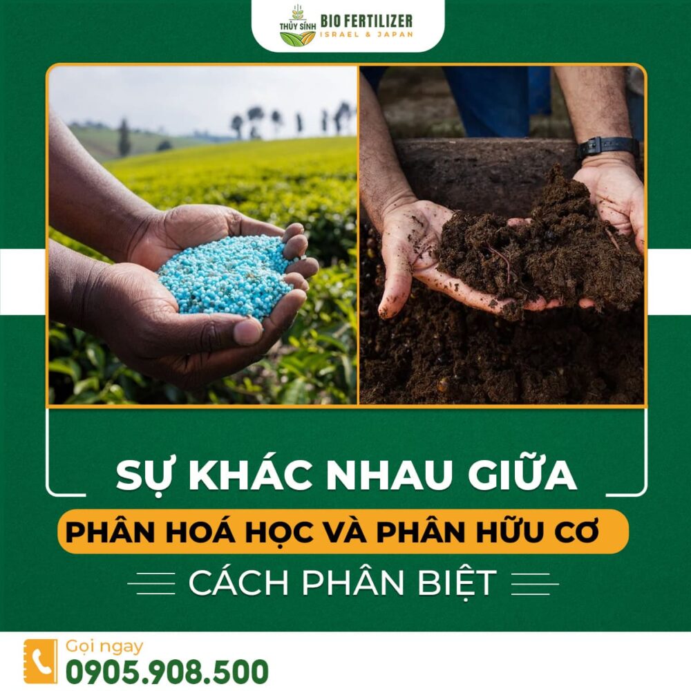 Sự khác nhau giữa phân hoá học và phân hữu cơ