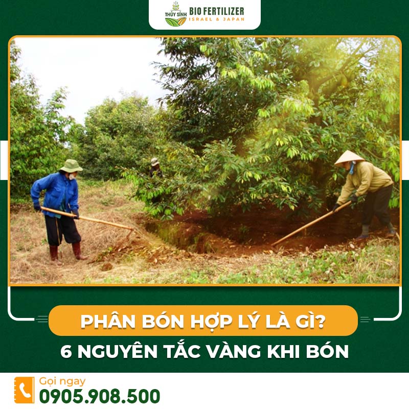 Phân bón hợp lý