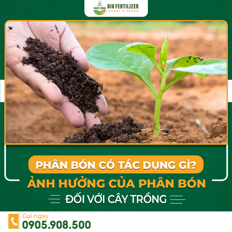 phân bón có tác dụng gì