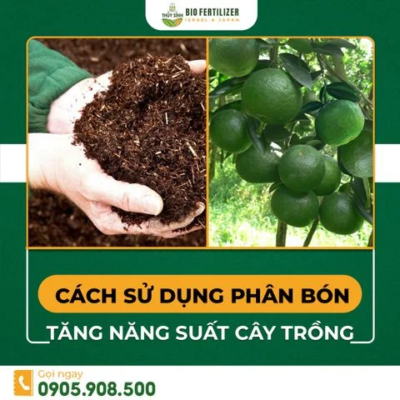 Phân bón là gì