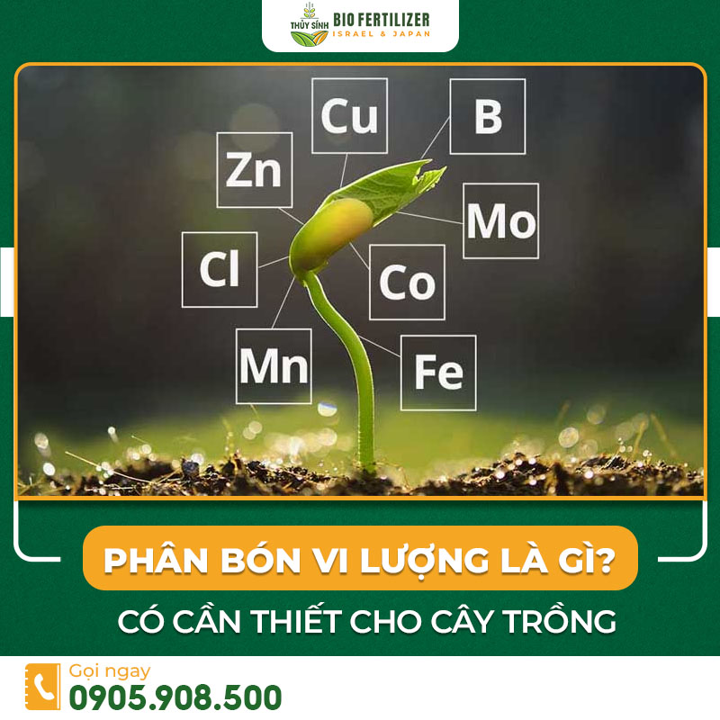 Phân bón vi lượng