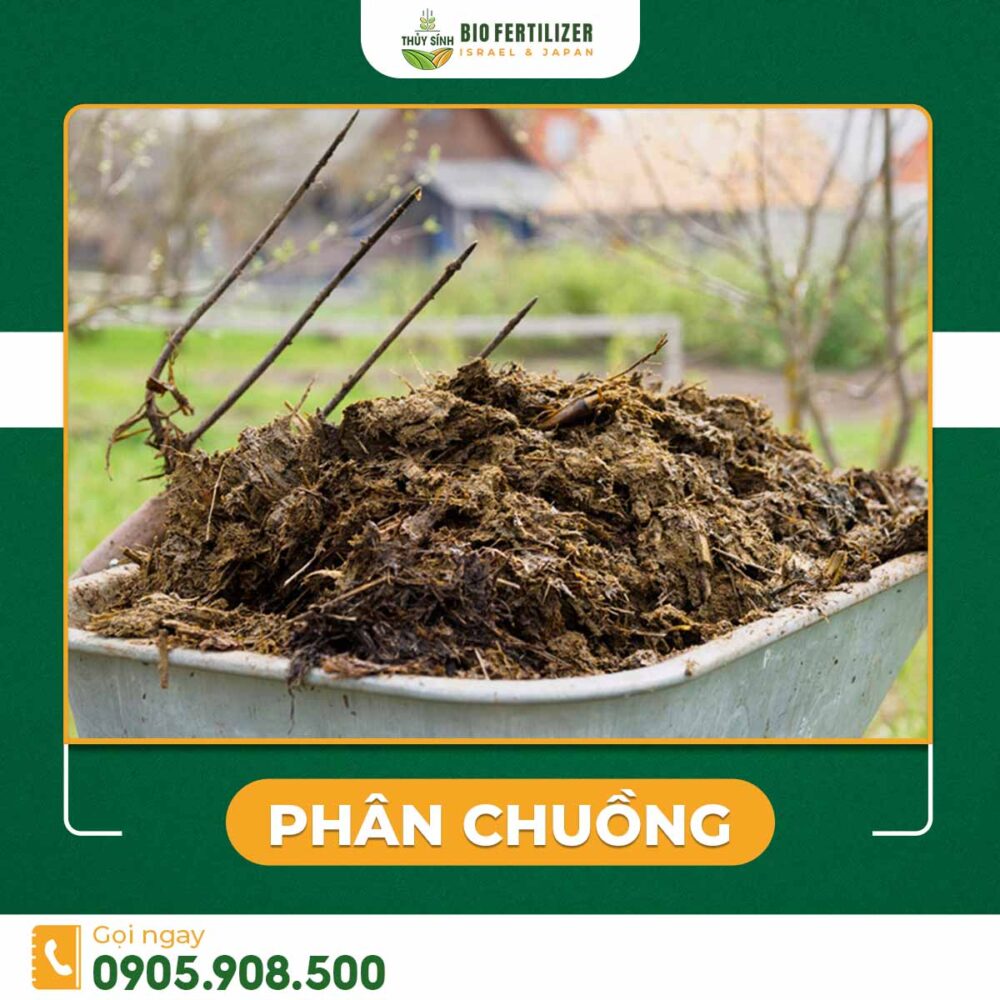 Phân chuồng