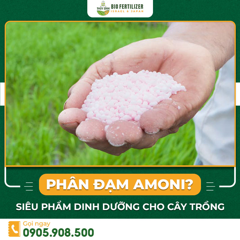 Phân đạm Amoni