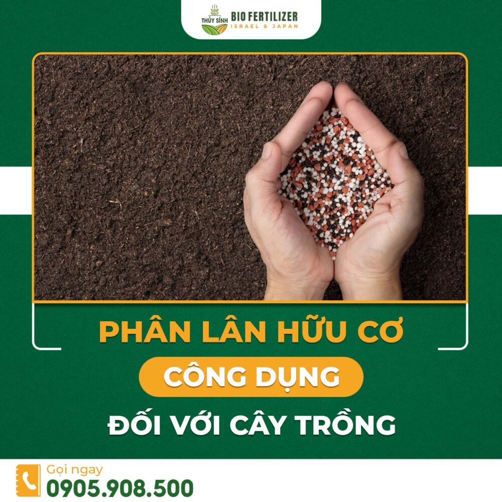 phân lân hữu cơ là gì