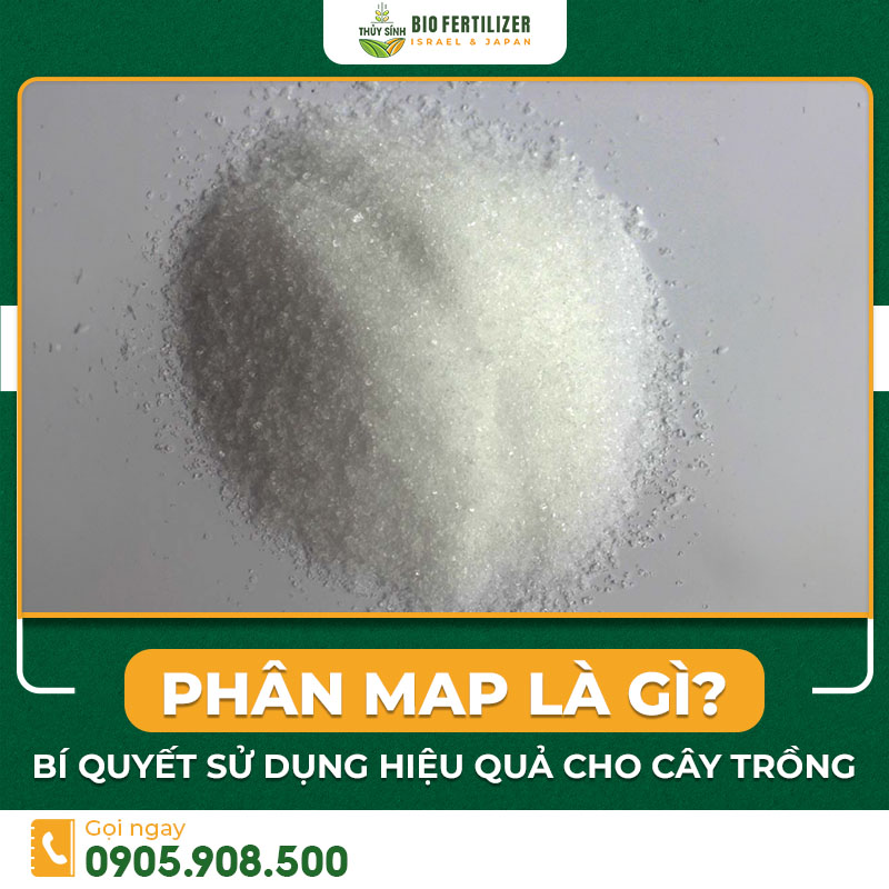 Phân MAP Là Gì