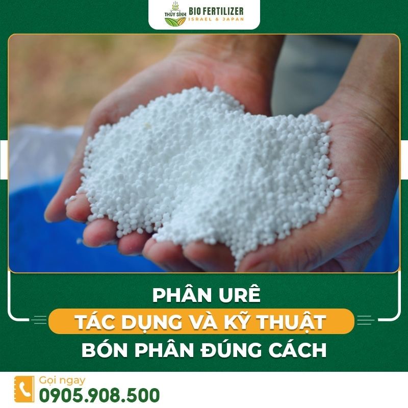 Tìm hiểu về phân ure