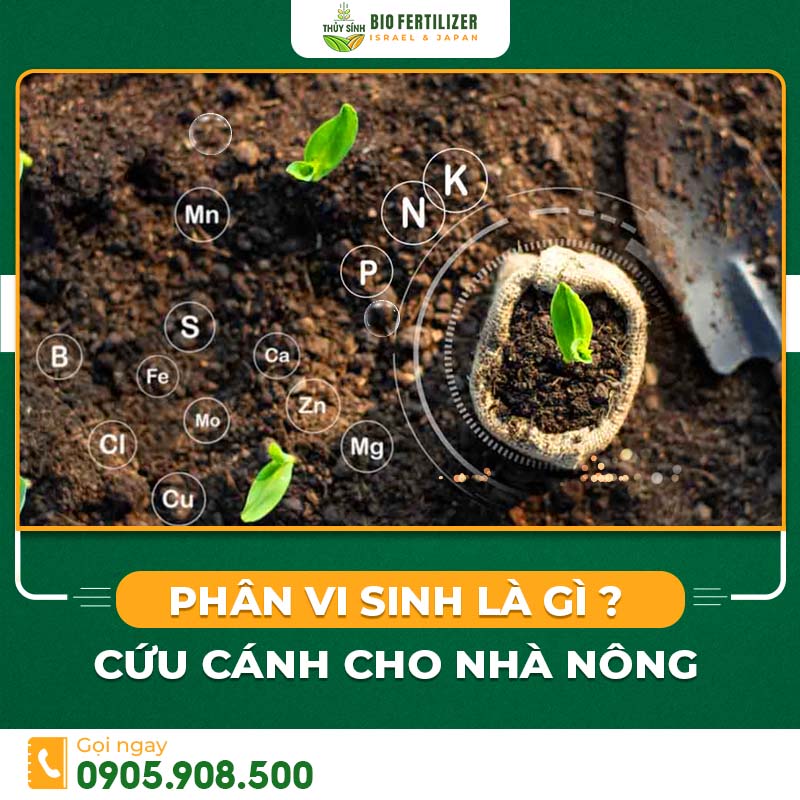 Phân bón vi sinh