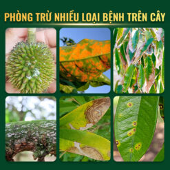 Rildzomigol Super 68WG phòng trừ nhiều loại nấm bệnh gây hại