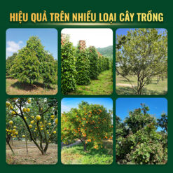 Rildzomigol Super 68WG hiệu quả trên nhiều loại cây trồng