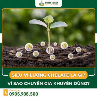 siêu vi lượng Chelate