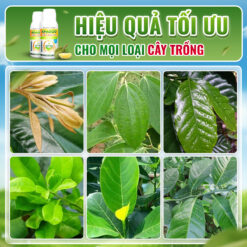 Hiệu quả sử dụng Thủy Sính 30