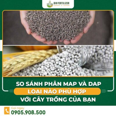 sự khác biệt map và dap