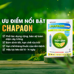 Ưu điểm chapaon