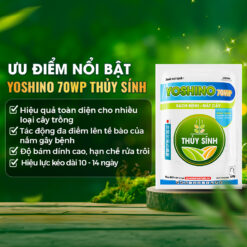 Ưu điểm nổi bật Yoshino