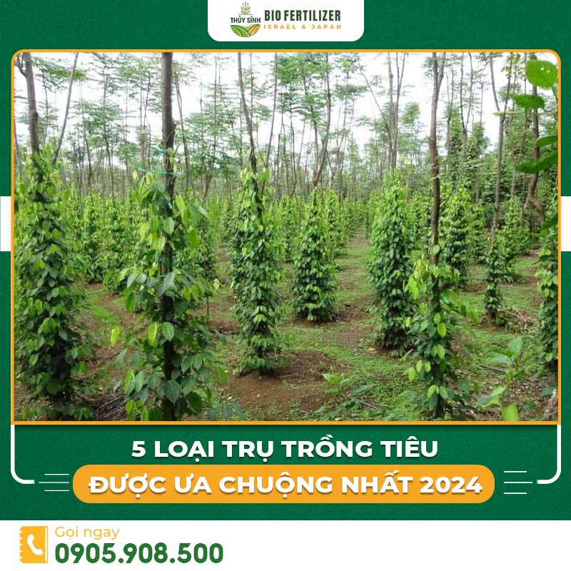 Các loại trụ tiêu