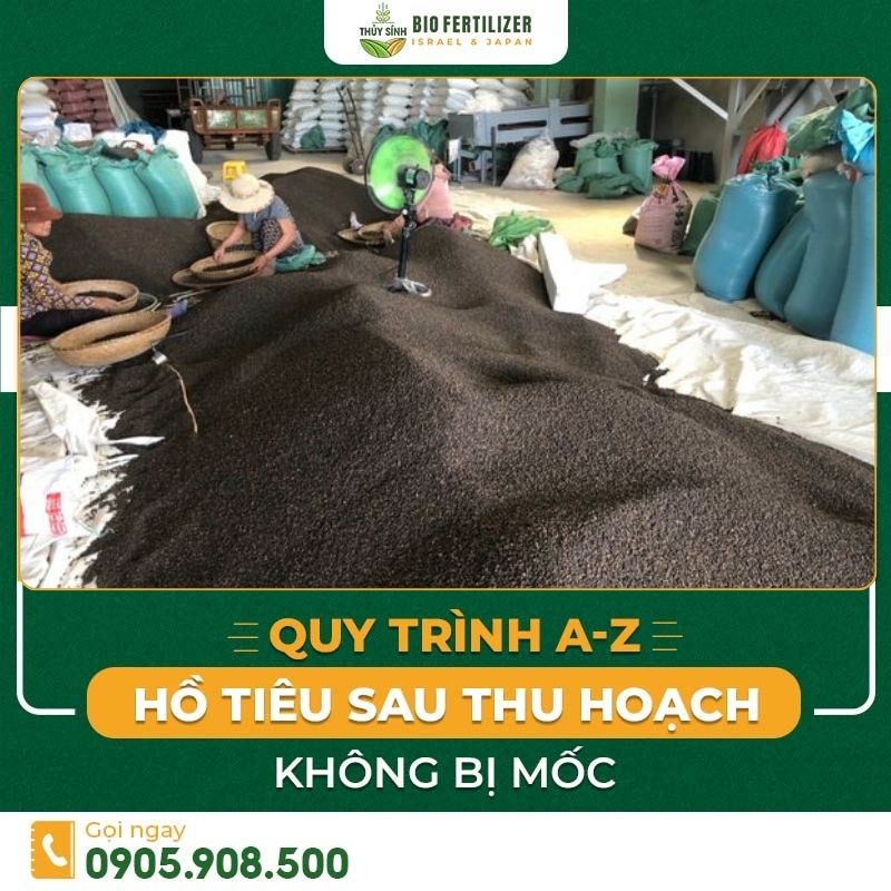 bảo quản hồ tiêu sau thu hoạch