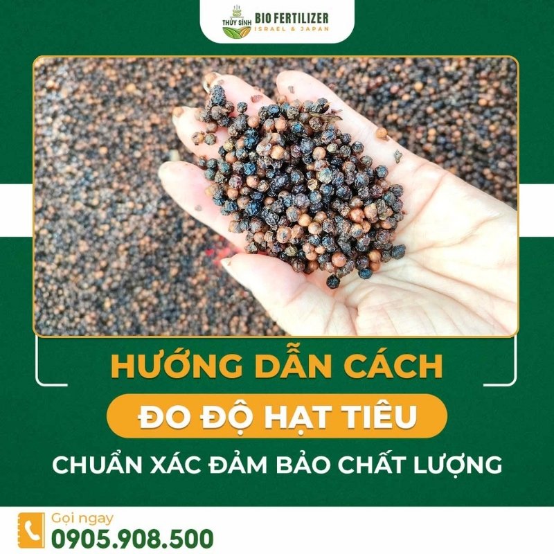 Cách đo độ tiêu