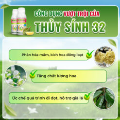 Công dụng thủy sính 32