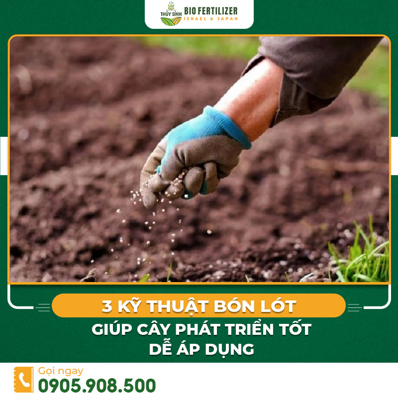 Kỹ thuật bón lót