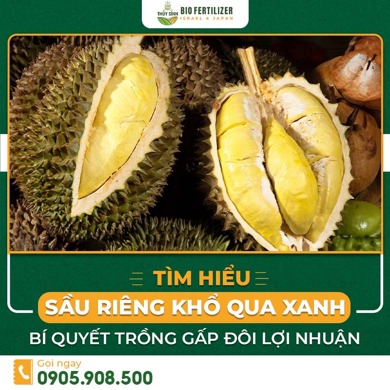 sầu riêng khổ qua