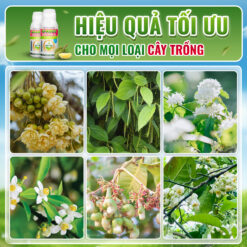 Sử dụng phun xịt thủy sính 32