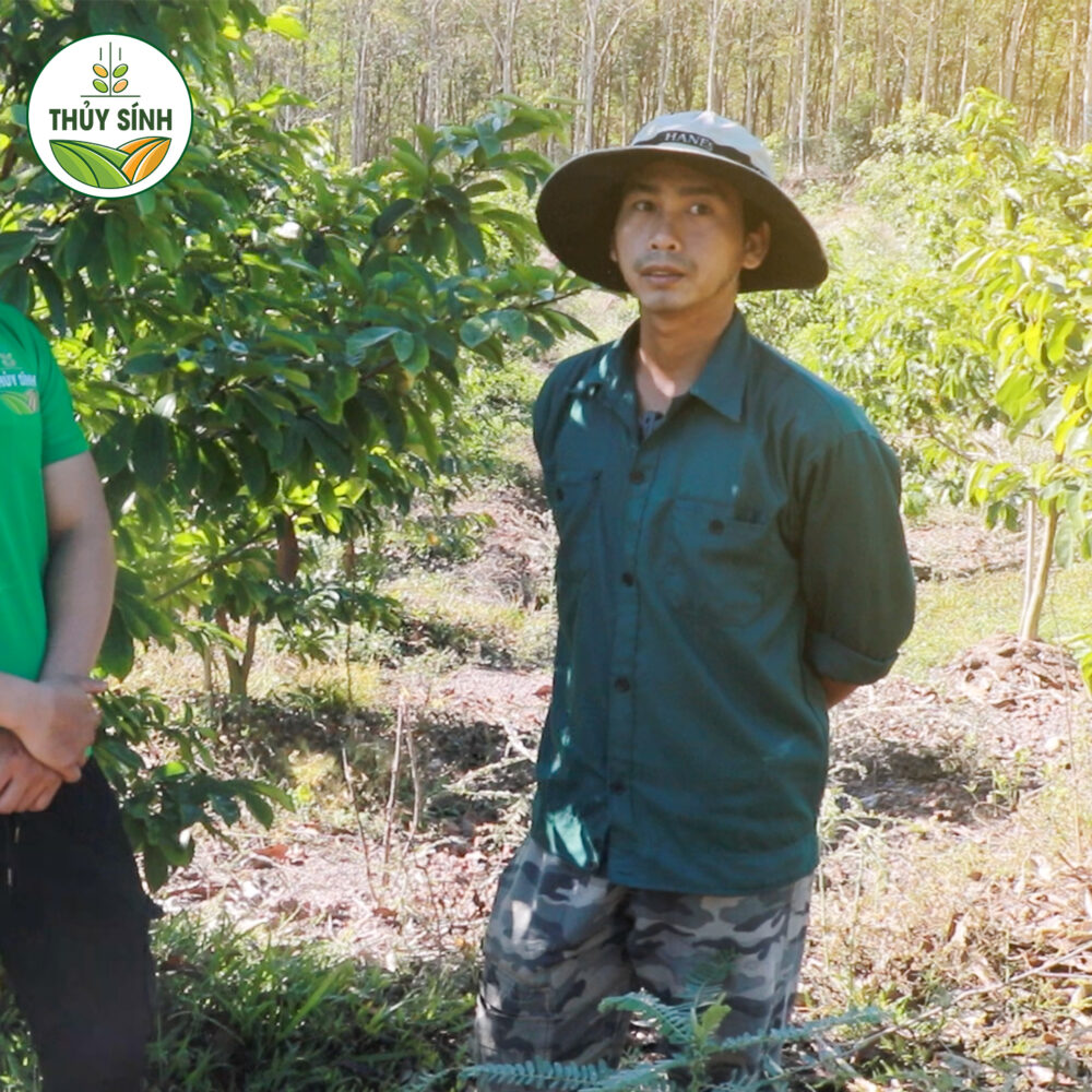 Anh Nam - Cây mãng cầu